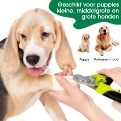 Mister Mill Professionele Set Slicker Honden Kattenborstel Plus Nagelknipper Plus Ondervacht Kam -Hondenartikelen Winkel 1200x1200 1949