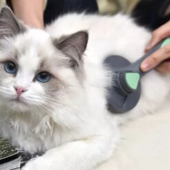 Pakeway Kattenborstel – Hondenborstel – Haarverwijderaar Voor Huisdieren – Kattenkam - Kortharig - Langharig - Inclusief Ebook! -Hondenartikelen Winkel 1200x1200 1972