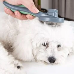 Pakeway Kattenborstel – Hondenborstel – Haarverwijderaar Voor Huisdieren – Kattenkam - Kortharig - Langharig - Inclusief Ebook! -Hondenartikelen Winkel 1200x1200 1973