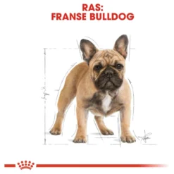 Royal Canin French Bulldog Adult 9 KG -Hondenartikelen Winkel 1200x1200 20