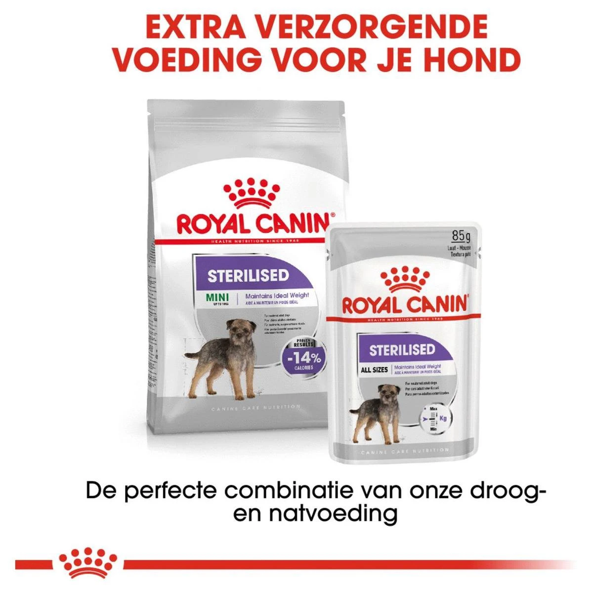 Royal Canin Mini Sterilised 8 KG 11 Royal Canin Mini Sterilised 8 KG - Afbeelding 11