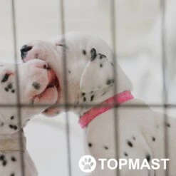 Topmast Puppyren Uitvouwbaar - Zwart - 560 Cm Omtrek - 60 Cm Hoog - Opvouwbaar XL - Hondenren 7 Topmast Puppyren Uitvouwbaar - Zwart - 560 Cm Omtrek - 60 Cm Hoog - Opvouwbaar XL - Hondenren -Hondenartikelen Winkel 1200x1200 2023