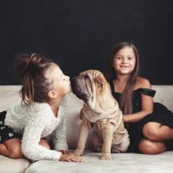 Relaxdays Puppyren - Hondenren - Puppykennel - Konijnenren - Bodem - Metaal - Div. Grootte - M -Hondenartikelen Winkel 1200x1200 2082