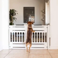 Iris Ohyama Huisdier Bariere PBR-600 - Kunststof - Wit/Beige - Uitschuifbaar -Hondenartikelen Winkel 1200x1200 2092