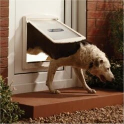 Petsafe 760 Hondenluik - L - Wit - 37 X 31,4 Cm -Hondenartikelen Winkel 1200x1200 2142