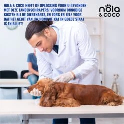 Nola & Coco® Tandsteen Verwijderaar Set Inclusief Bewaardoosje - Tandenkrabber - Set Van Twee - Hond - Kat - Tandenborstel - Tandplak Verwijderen - Tandenstoker - Honden Tanden Schoonmaken - Tandenhaakje - Gebitsreiniging -Hondenartikelen Winkel 1200x1200 2157