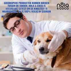 Nola & Coco® Tandsteen Verwijderaar Set Inclusief Bewaardoosje - Tandenkrabber - Set Van Twee - Hond - Kat - Tandenborstel - Tandplak Verwijderen - Tandenstoker - Honden Tanden Schoonmaken - Tandenhaakje - Gebitsreiniging -Hondenartikelen Winkel 1200x1200 2158