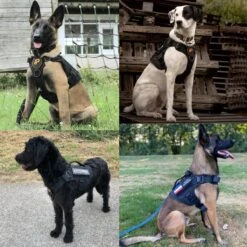 Always Prepared © Pro K9 Hondentuig - Anti Trek - Y Tuig - Middel En Grote Hond - Veiligheidstuig -Hondenartikelen Winkel 1200x1200 2173