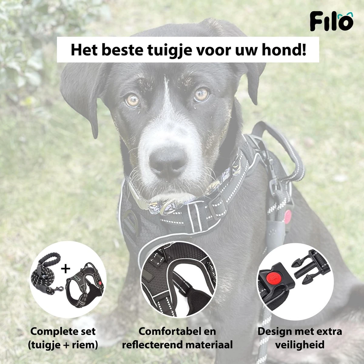 Filo Anti Trek Hondentuig S Met Hondenriem - Y Tuig Hond Verstelbaar - Hondentuigje Kleine Hond + Hondenlijn - Easy Walk Hondenharnas - Hondentuigjes - Leiband - Honden Tuigje - Puppy - Tuig - Hond 7 Filo Anti Trek Hondentuig S Met Hondenriem - Y Tuig Hond Verstelbaar - Hondentuigje Kleine Hond + Hondenlijn - Easy Walk Hondenharnas - Hondentuigjes - Leiband - Honden Tuigje - Puppy - Tuig - Hond - Afbeelding 7