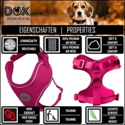 DDOXX Hondenharnas, Reflecterend, Verstelbaar, Breakaway | Borstharnas Voor Klein, Middelgroot | Hondenharnas Hond Kat Puppy Auto | Kattenharnas Puppy Harnas | Roze Roze, S 14 DDOXX Hondenharnas, Reflecterend, Verstelbaar, Breakaway | Borstharnas Voor Klein, Middelgroot | Hondenharnas Hond Kat Puppy Auto | Kattenharnas Puppy Harnas | Roze Roze, S -Hondenartikelen Winkel 1200x1200 2200