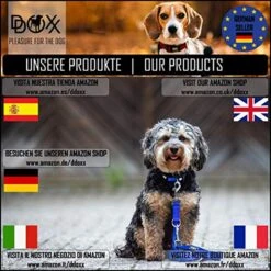 DDOXX Hondenharnas, Reflecterend, Verstelbaar, Breakaway | Borstharnas Voor Klein, Middelgroot | Hondenharnas Hond Kat Puppy Auto | Kattenharnas Puppy Harnas | Roze Roze, S 19 DDOXX Hondenharnas, Reflecterend, Verstelbaar, Breakaway | Borstharnas Voor Klein, Middelgroot | Hondenharnas Hond Kat Puppy Auto | Kattenharnas Puppy Harnas | Roze Roze, S -Hondenartikelen Winkel 1200x1200 2202