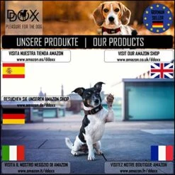 DDOXX Hondenharnas, Reflecterend, Verstelbaar, Breakaway | Borstharnas Voor Klein, Middelgroot | Hondenharnas Hond Kat Puppy Auto | Kattenharnas Puppy Harnas | Roze Roze, S 20 DDOXX Hondenharnas, Reflecterend, Verstelbaar, Breakaway | Borstharnas Voor Klein, Middelgroot | Hondenharnas Hond Kat Puppy Auto | Kattenharnas Puppy Harnas | Roze Roze, S -Hondenartikelen Winkel 1200x1200 2203