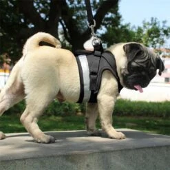 Hondentuig, Hondenharnas Met Hondenriem – Reflecterend - Zwart – Maat M (borst 35-40 Cm) -Hondenartikelen Winkel 1200x1200 2220