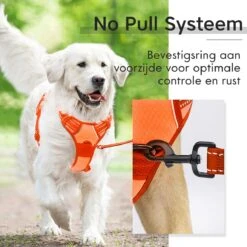 Sharon B - Hondentuigje - Voor Middelgrote Honden - Oranje - Maat M - No Pull - Anti Trek - Reflecterend - Hoeft Niet Over Het Hoofd Aangetrokken Te Worden -Hondenartikelen Winkel 1200x1200 2223