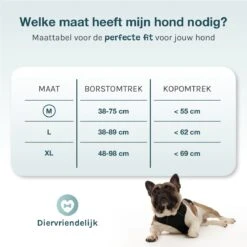Hondentuigje Medium – Hondenharnas - Anti Trek Tuig Hond – Y Tuig – Reflecterend – Zwart – Maat M 12 Hondentuigje Medium – Hondenharnas - Anti Trek Tuig Hond – Y Tuig – Reflecterend – Zwart – Maat M -Hondenartikelen Winkel 1200x1200 2249