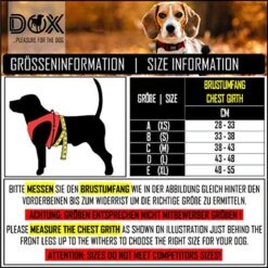 DDOXX Borstharnas Air Mesh, Step-In, Reflecterend | Vele Kleuren | Voor Kleine, Middelgrote En Middelgrote Honden | Hondenharnas Hond Kat Puppy | Kattenharnas Puppy Harnas | Zwart, M 25 DDOXX Borstharnas Air Mesh, Step-In, Reflecterend | Vele Kleuren | Voor Kleine, Middelgrote En Middelgrote Honden | Hondenharnas Hond Kat Puppy | Kattenharnas Puppy Harnas | Zwart, M -Hondenartikelen Winkel 1200x1200 2273