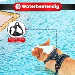 Purrr Fect Hondentuigje - Anti-Trek Tuig - Hondenharnas - Y Tuig Hond - Waterproof - Reflecterend - Verstelbaar - Maat L -Hondenartikelen Winkel 1200x1200 2278
