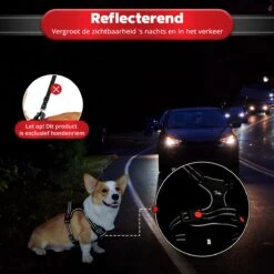 Purrr Fect Hondentuigje - Anti-Trek Tuig - Hondenharnas - Y Tuig Hond - Waterproof - Reflecterend - Verstelbaar - Maat L -Hondenartikelen Winkel 1200x1200 2279