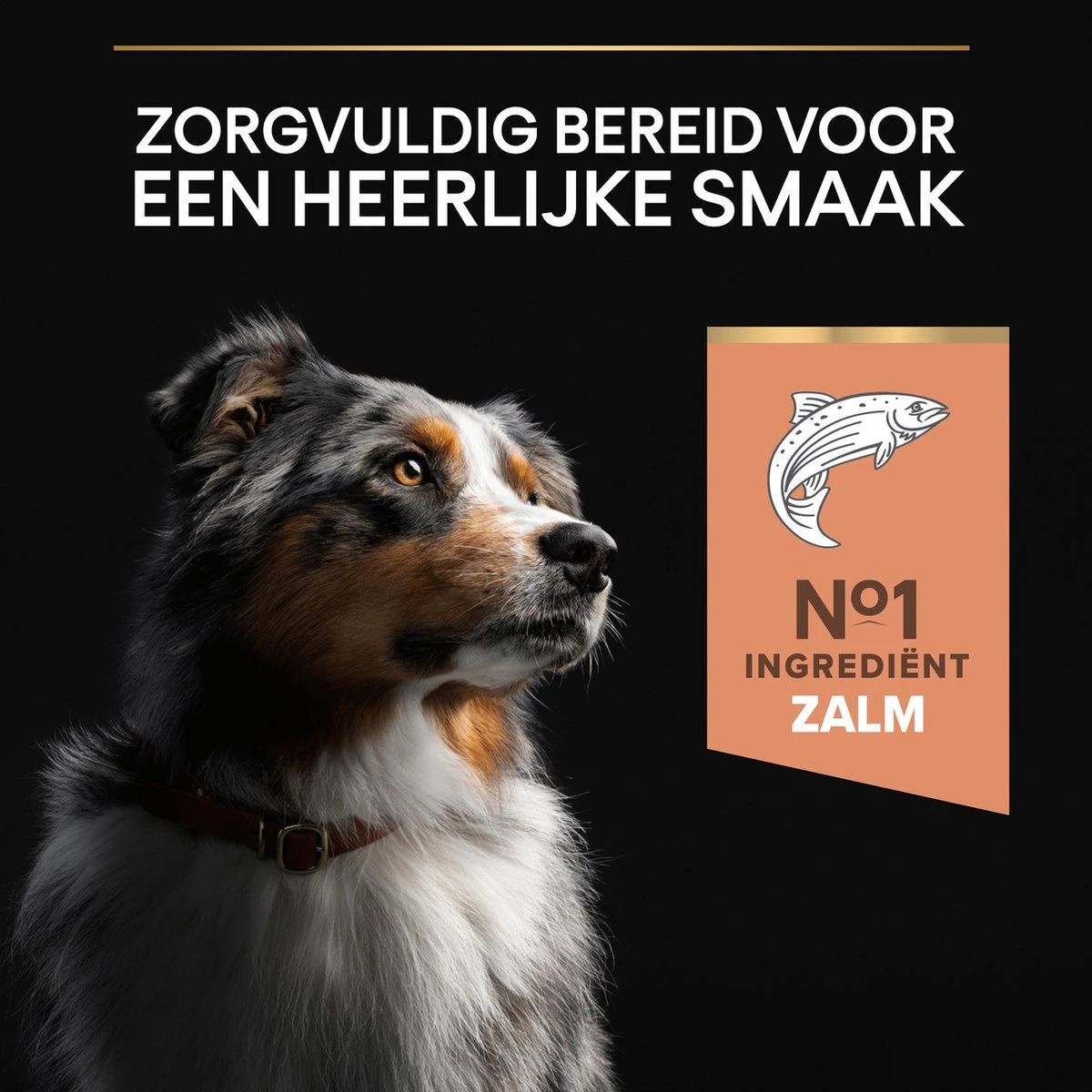Pro Plan Medium Adult Sensitive Skin - Honden Droogvoer - Zalm - 14 Kg 11 Pro Plan Medium Adult Sensitive Skin - Honden Droogvoer - Zalm - 14 Kg - Afbeelding 11