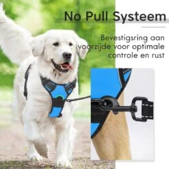 Sharon B - Hondentuigje - Voor Middelgrote Honden - Blauw - Maat M - No Pull Harnas - Anti Trek - Reflecterend - Hoeft Niet Over Het Hoofd Aangetrokken Te Worden -Hondenartikelen Winkel 1200x1200 2296