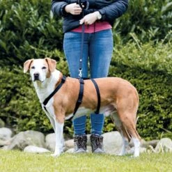 Trixie Stay Hondentuig Zwart Maat - S/M -Hondenartikelen Winkel 1200x1200 2299