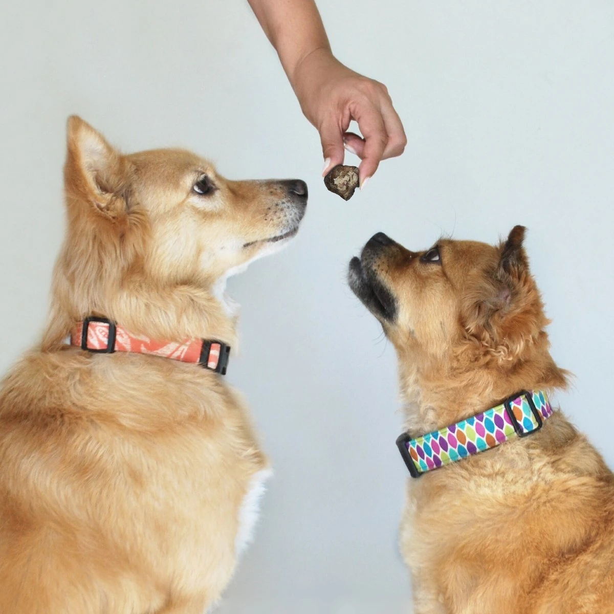 Topdiervoeding Lamslong Hondensnacks - Vers Gedroogd - Knapperig - 1 KG 3 Topdiervoeding Lamslong Hondensnacks - Vers Gedroogd - Knapperig - 1 KG - Afbeelding 3