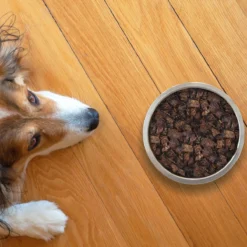 Topdiervoeding Lamslong Hondensnacks - Vers Gedroogd - Knapperig - 1 KG 8 Topdiervoeding Lamslong Hondensnacks - Vers Gedroogd - Knapperig - 1 KG -Hondenartikelen Winkel 1200x1200 234