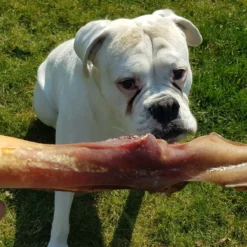 Topdiervoeding Runderkophuid Hondensnacks - Vers Gedroogd - 30cm - 1000 Gram -Hondenartikelen Winkel 1200x1200 236