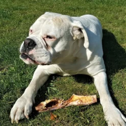 Topdiervoeding Runderkophuid Hondensnacks - Vers Gedroogd - 30cm - 1000 Gram -Hondenartikelen Winkel 1200x1200 237