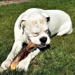 Topdiervoeding Runderkophuid Hondensnacks - Vers Gedroogd - 30cm - 1000 Gram -Hondenartikelen Winkel 1200x1200 238