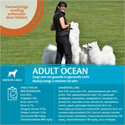 Wellness Core Grain Free Dog Ocean Zalm&Tonijn - Hondenvoer - 10 Kg -Hondenartikelen Winkel 1200x1200 243