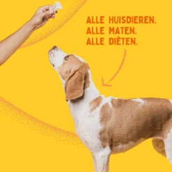 Aerend - Zalmolie Voor Honden En Katten - Zanipro® 500 Ml - 100% Visolie Op Schotse Zalmolie - Glanzende Vacht - Voedingssupplement - Anti-jeuk - Gezonde Bron Van Omega 3, 6 & 9 - Behandeling Voor Fretten En Paarden -Hondenartikelen Winkel 1200x1200 249