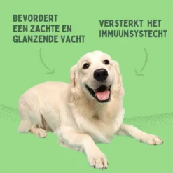 Aerend - Zalmolie Voor Honden En Katten - Zanipro® 500 Ml - 100% Visolie Op Schotse Zalmolie - Glanzende Vacht - Voedingssupplement - Anti-jeuk - Gezonde Bron Van Omega 3, 6 & 9 - Behandeling Voor Fretten En Paarden -Hondenartikelen Winkel 1200x1200 250