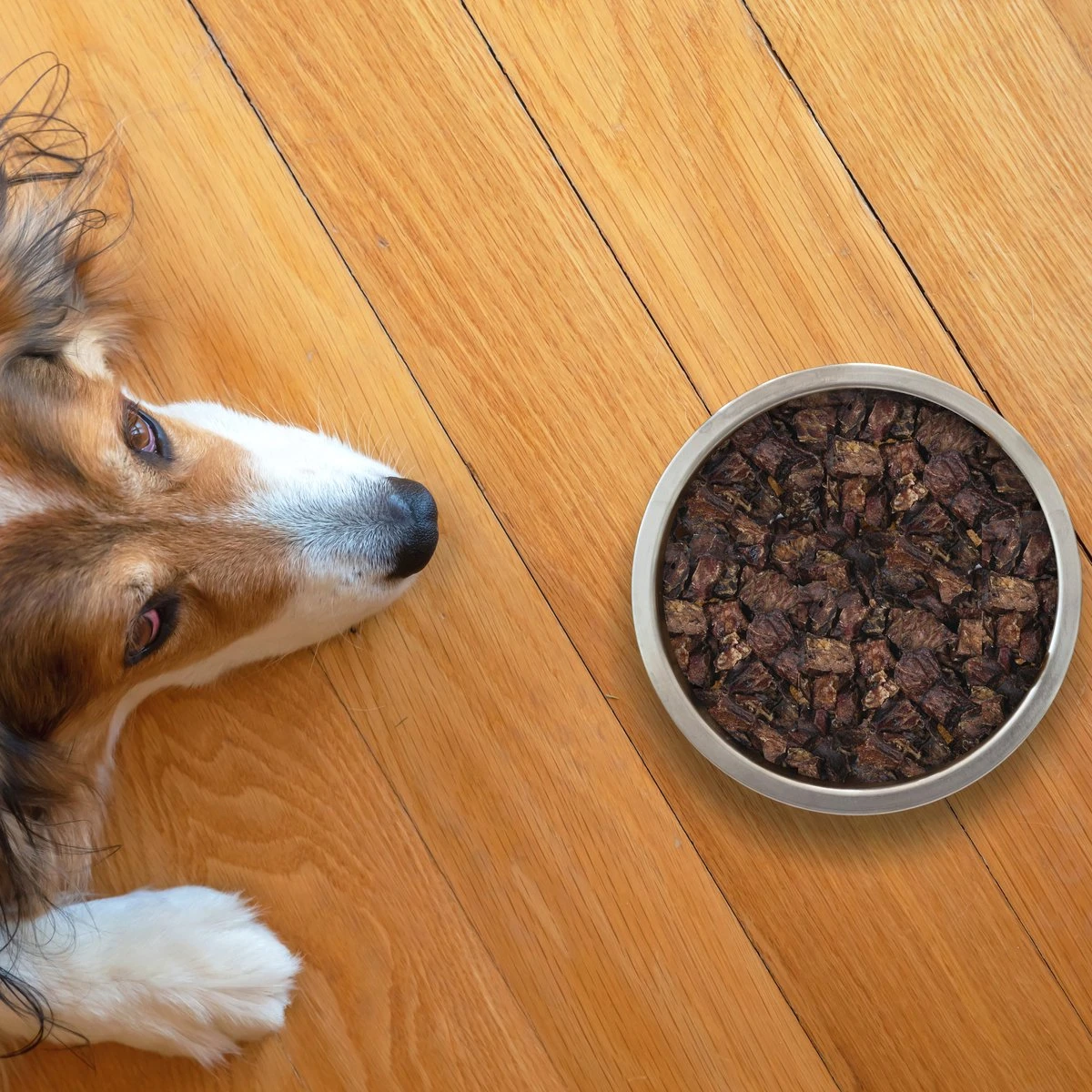 Topdiervoeding Runderlong Hondensnacks - Vers Gedroogd - Knapperig - 1 KG 4 Topdiervoeding Runderlong Hondensnacks - Vers Gedroogd - Knapperig - 1 KG - Afbeelding 4