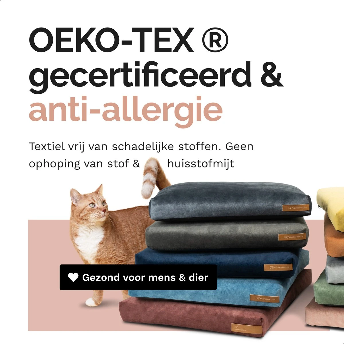 Rexproduct Hondenkussen - Hondenmand - Hondenbed Met Rits En Wasbaar - Manden & Kussens 90 X 110 CM - 0 Tot 80 Kg - SoftPet Groen 4 Rexproduct Hondenkussen - Hondenmand - Hondenbed Met Rits En Wasbaar - Manden & Kussens 90 X 110 CM - 0 Tot 80 Kg - SoftPet Groen - Afbeelding 4