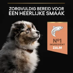 Pro Plan Medium Puppy Sensitive Skin - Honden Droogvoer - Zalm - 12 Kg 26 Pro Plan Medium Puppy Sensitive Skin - Honden Droogvoer - Zalm - 12 Kg -Hondenartikelen Winkel 1200x1200 31