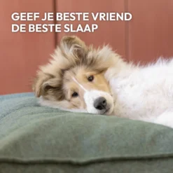 Snoozle Orthopedische Hondenmand - Zacht En Luxe Hondenkussen - Hondenbed - Wasbaar - Hondenmanden - 80 X 55 Cm - Desert Pink -Hondenartikelen Winkel 1200x1200 322