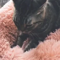 Snoozle Donut Hondenmand - Zacht En Luxe Hondenkussen - Wasbaar - Fluffy - Hondenmanden - 60cm - Grijs -Hondenartikelen Winkel 1200x1200 367