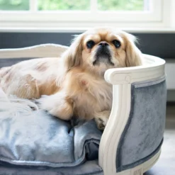 Lord Lou - George Blauw Velvet S - Luxe Hondenmand - Luxe Kattenmand - 49x40x31 -Hondenartikelen Winkel 1200x1200 383