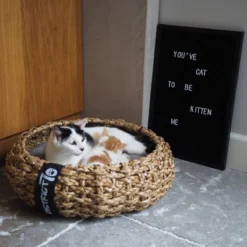 District 70 COCOON - Luxe Hondenmand Van Duurzaam Hoogwaardig Riet Met Zacht Kussen - Maten S/M/L - Large -Hondenartikelen Winkel 1200x1200 437