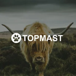 Yak Kaas Hondensnacks - 8 Stuks - 100% Natuurlijk - XS - 20-40 Gram - Kauwstaaf - Kauwbot - Voor De Hond -Hondenartikelen Winkel 1200x1200 47