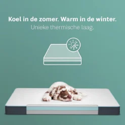 CozySense® - Orthopedisch Hondenkussen - Hondenkussen 75 X 45 Cm - Ook Geschikt Als Benchkussen & Hondenbed - Hondenkussen Bank - Traagschuim - Waterdicht - Wasbare Hoes - Maat M -Hondenartikelen Winkel 1200x1200 502