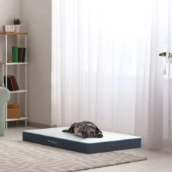 CozySense® - Orthopedisch Hondenkussen - Hondenkussen 75 X 45 Cm - Ook Geschikt Als Benchkussen & Hondenbed - Hondenkussen Bank - Traagschuim - Waterdicht - Wasbare Hoes - Maat M -Hondenartikelen Winkel 1200x1200 504