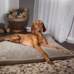 Scruffs Chateau - Hondenbed Orthopedisch Met Memory Foam Voor Extra Steun Voor Rug En Gewrichten - Grijs & Bruin Maat M/L - Kleur: Grijs, Maat: Medium 34 Scruffs Chateau - Hondenbed Orthopedisch Met Memory Foam Voor Extra Steun Voor Rug En Gewrichten - Grijs & Bruin Maat M/L - Kleur: Grijs, Maat: Medium -Hondenartikelen Winkel 1200x1200 521