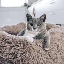 District 70 FUZZ - Hondenmand Comfortabel En Zacht Pluche - Zand, Oudroze, Donkergrijs En Lichtgrijs In S/M/L/XL - Maat: Large, Kleur: Zand -Hondenartikelen Winkel 1200x1200 539