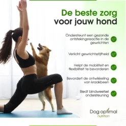 DOG OPTIMAL Gewricht Supplement 120 Stuks - Mobility - Glucosamine Hond - Artrose - Heupdysplasie - Gewrichten - Hondensnacks - Hondenkoekjes - Hondensupplementen - Honden - Puppy - Hondenvoeding -Hondenartikelen Winkel 1200x1200 56