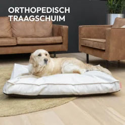 Snoozle Orthopedische Hondenmand - Zacht En Luxe Hondenkussen - Hondenbed - Wasbaar - Hondenmanden - 120 X 90 Cm - Groen 20 Snoozle Orthopedische Hondenmand - Zacht En Luxe Hondenkussen - Hondenbed - Wasbaar - Hondenmanden - 120 X 90 Cm - Groen -Hondenartikelen Winkel 1200x1200 569