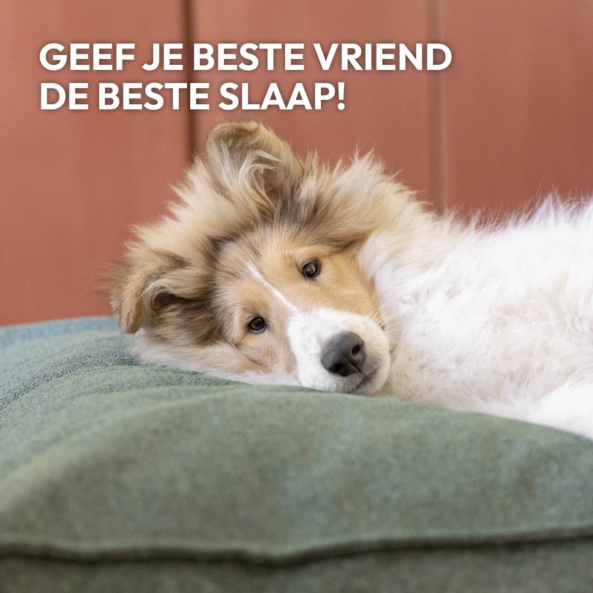 Snoozle Orthopedische Hondenmand - Zacht En Luxe Hondenkussen - Hondenbed - Wasbaar - Hondenmanden - 120 X 90 Cm - Groen 9 Snoozle Orthopedische Hondenmand - Zacht En Luxe Hondenkussen - Hondenbed - Wasbaar - Hondenmanden - 120 X 90 Cm - Groen - Afbeelding 9