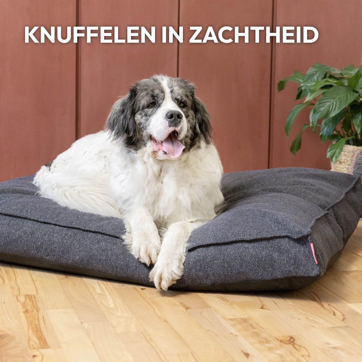 Snoozle Orthopedische Hondenmand - Zacht En Luxe Hondenkussen - Hondenbed - Wasbaar - Hondenmanden - 120 X 90 Cm - Groen 11 Snoozle Orthopedische Hondenmand - Zacht En Luxe Hondenkussen - Hondenbed - Wasbaar - Hondenmanden - 120 X 90 Cm - Groen - Afbeelding 11