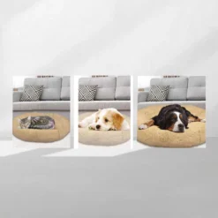 Peaceful Pooch S - Pluizig Hondenbed - 58cm Diameter - Opvouwbaar - In Verschillende Maten. Kattenbed - Wasbaar - Uitneembare Vulling - Ontspant Gewrichten En Spieren - Anti-slip Noppenbodem -Hondenartikelen Winkel 1200x1200 631